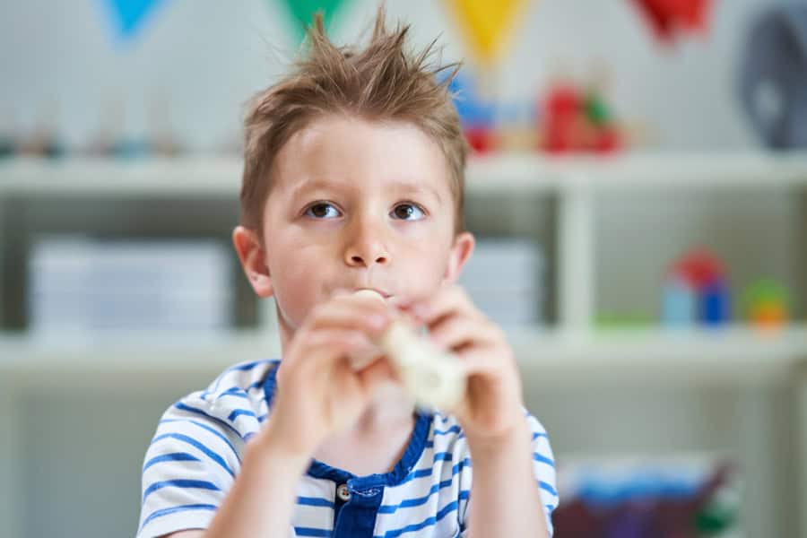 Adorable Boy Playing Music with a Recorder